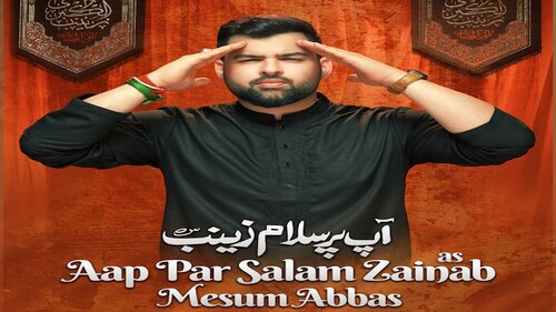 Aap Par Salam Zainab Status Video Mesum Abbas