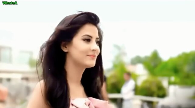 Desi Desi Na Bolya Kar Vicky Kajla Latest Punjabi Mp4 Status Video
