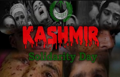 Kashmir Day Whatsapp Status Video