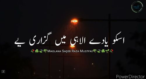 Maolana Saaqib Raza Mustafai Whatsapp Status Video
