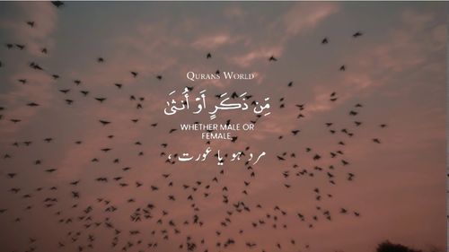 Most Beautiful Tilawat Quran Status Video