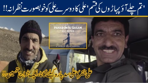 Paharon Ki Kasam Status Video Ali Zafar