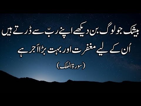 Qurani Ayat Urdu Whatsapp Status Video