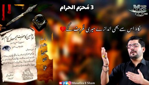 Shimr Khanjar Na Chala Noha Status Video Mir Hasan Mir