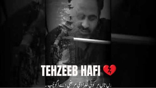 Tehzeeb Hafi Deep Lines Poetry Status Video