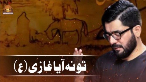 Tu Na Aya Gazi Status Video Mir Hassan Mir